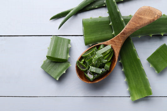 Introducing HPV-Basant Ingredient 3: Aloe vera