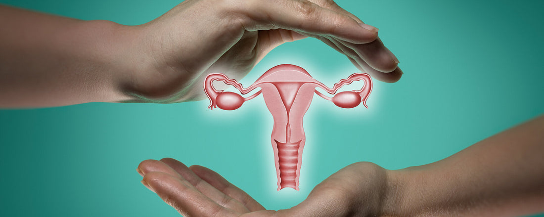 Detailing The Role of Basant in Promoting Vaginal Health