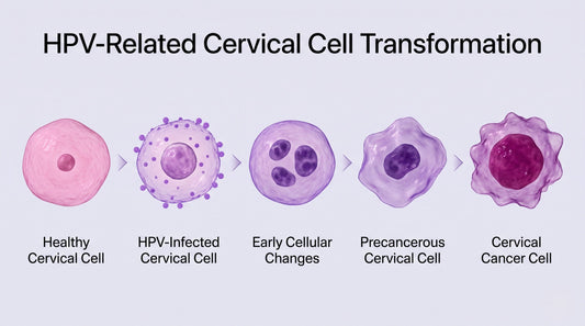 How HPV Affects Cervical Cells: From Infection to Cervical Cancer